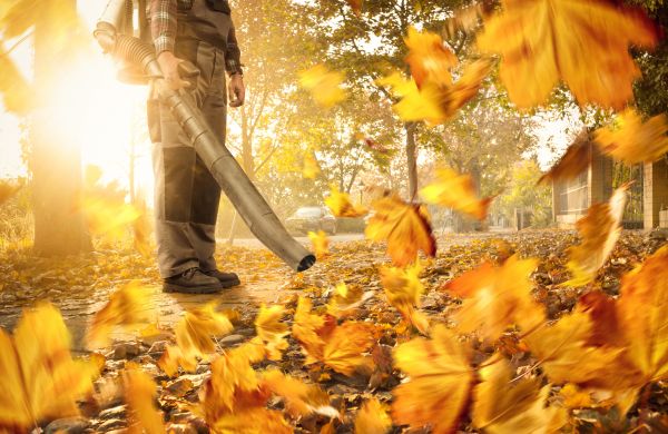 Leaf Blowing Service in Milton