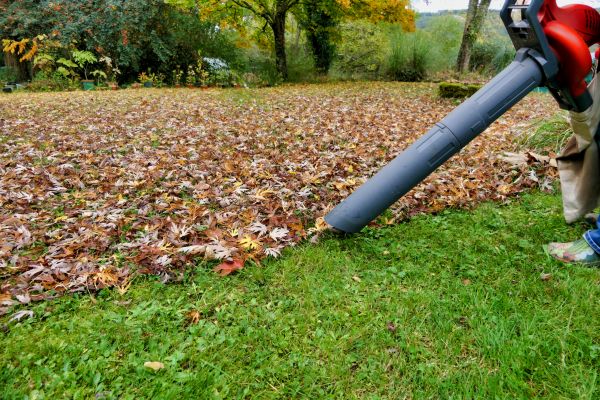Leaf Vacuuming Service in Milton