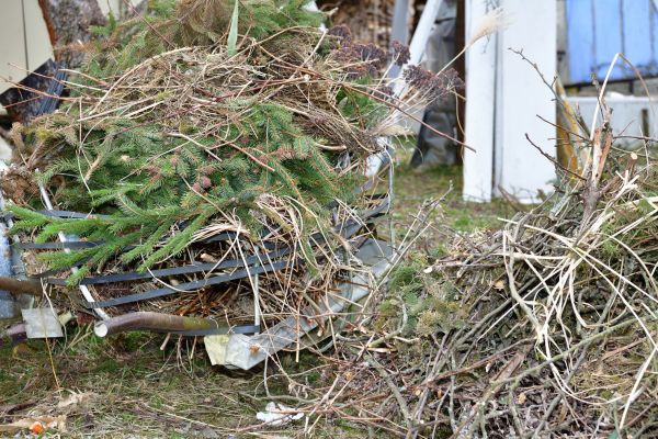 Yard Waste Removal Service in Milton