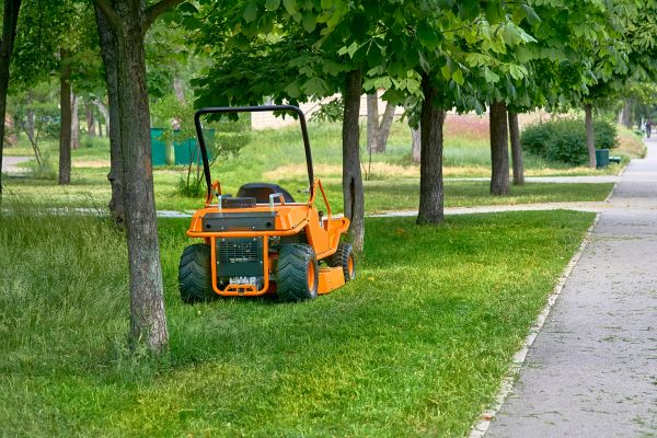 Landscaping Cleanup Service in Milton