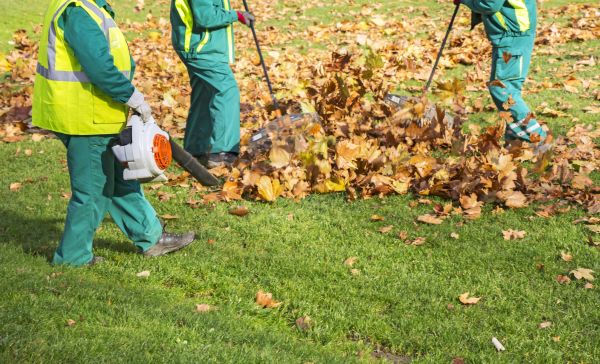Leaf Maintenance in Milton
