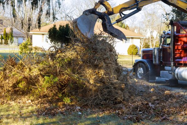 Storm Debris Removal in Milton