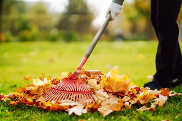 Ditch Leaf Removal in Milton