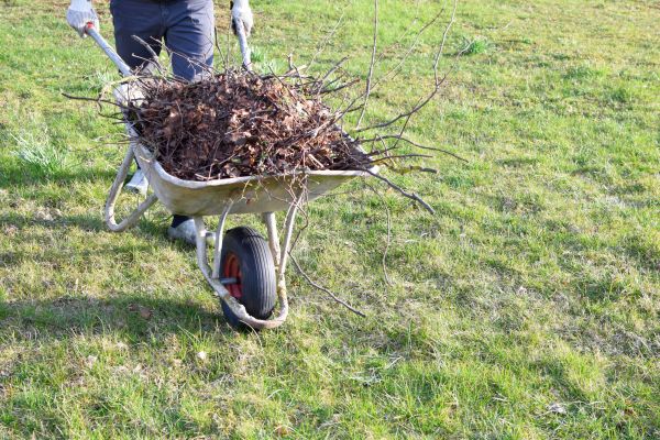 Yard Brush Removal in Milton