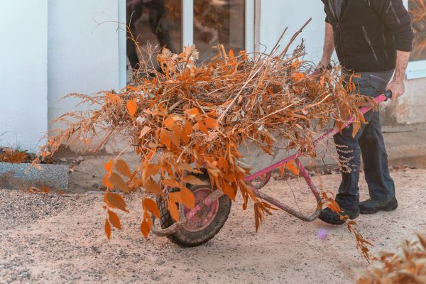 Lawn Debris Cleanup in Milton