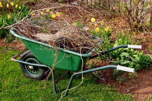 Lawn Waste Removal in Milton