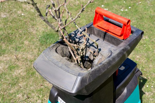 Brush Cleanup Service in Milton