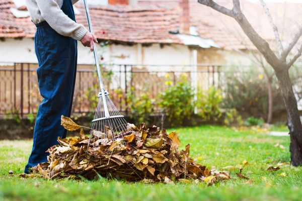 Fall Yard Cleanup Service in Milton