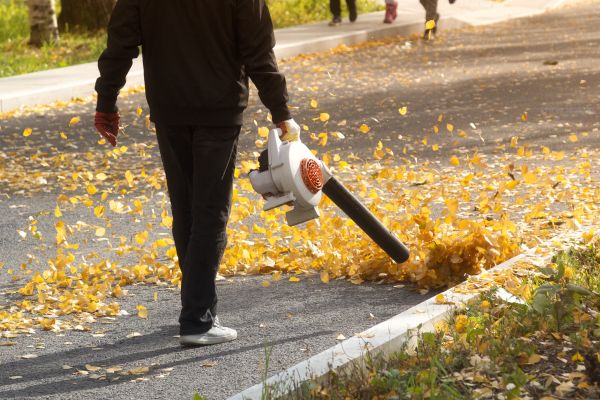 Commercial Leaf Removal in Milton