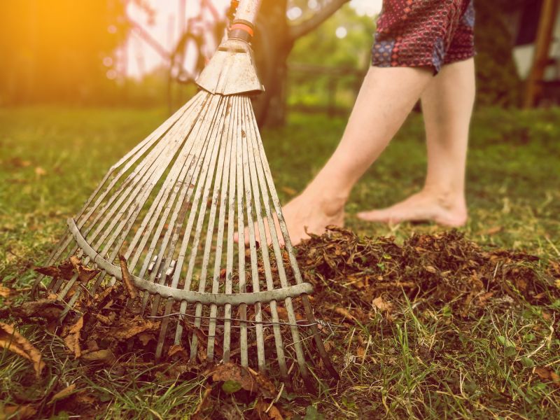Leaf Raking Service detail
